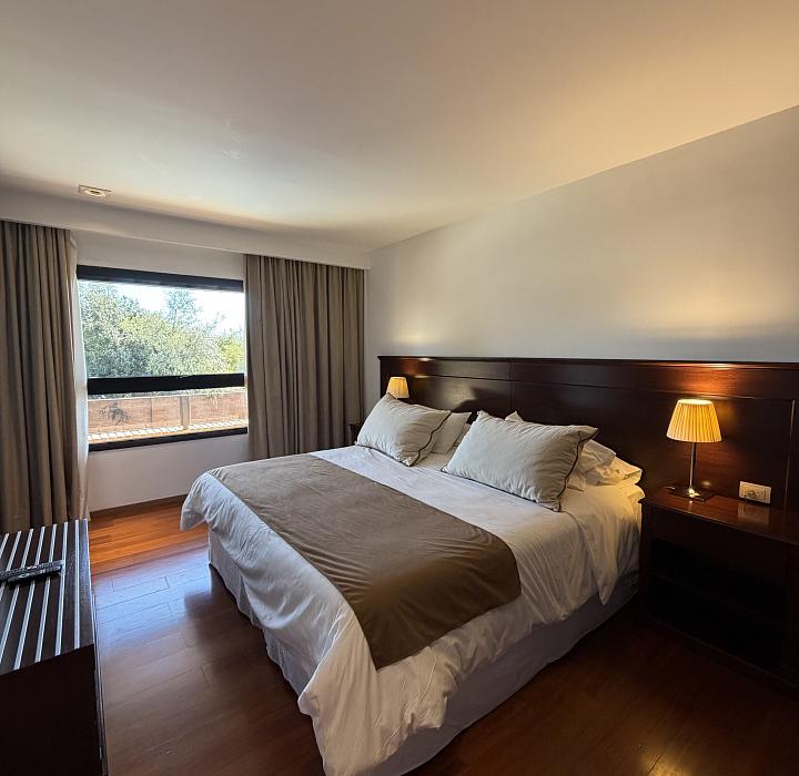 Suite Neper